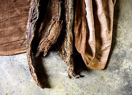 Roots for bogolanfini-dyeing, cultures of West Africa