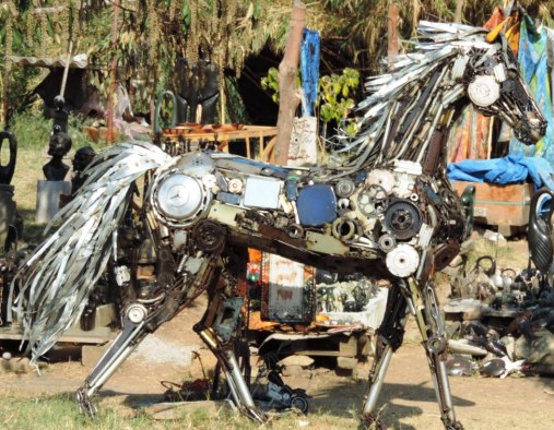 Recycled horse, Harare