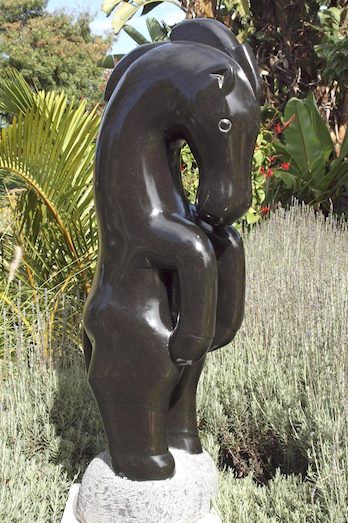 Ephraim Chaurika 'Proud horse'