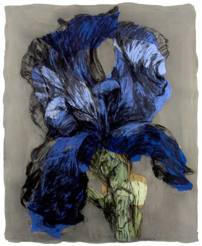 iris kentridge