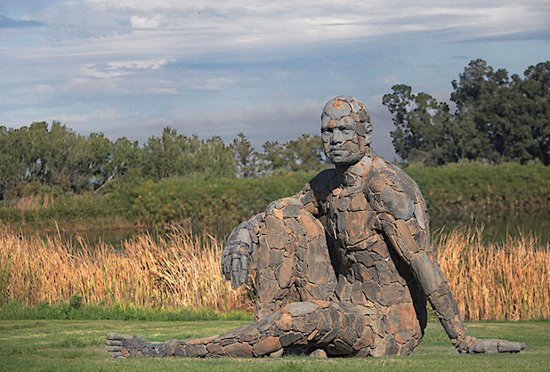 Angus Taylor Dionysus