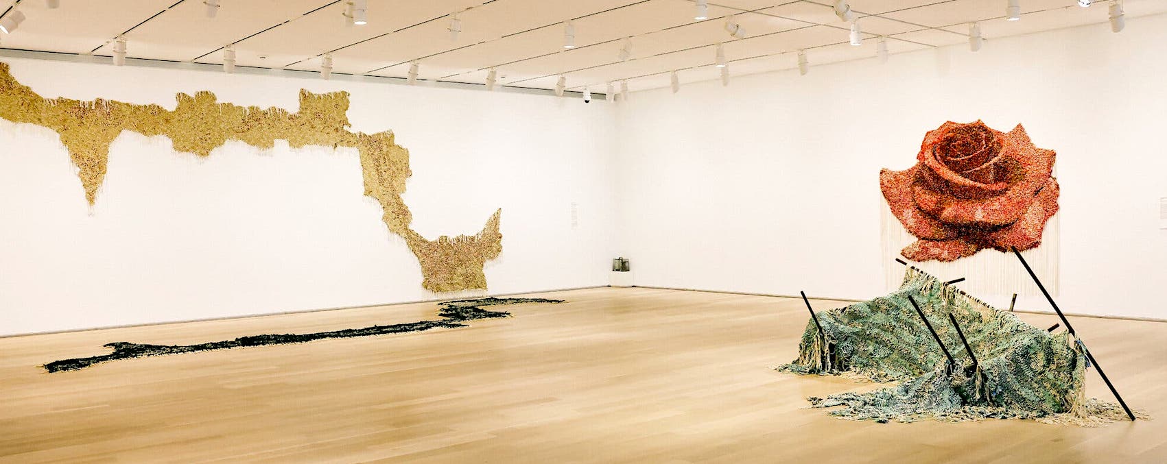 Igshaan Adams 'Desire Lines' Chicago Art Institute