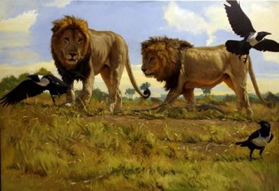 Male Lions